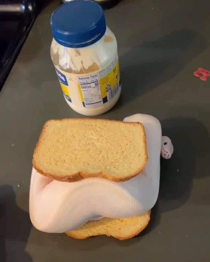 Jar of mayo cooking up funding strategies