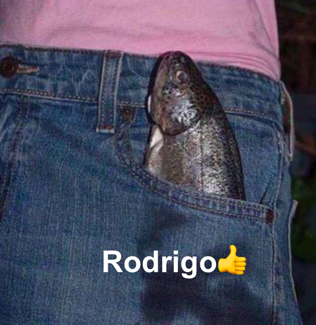 Rodrigo evaluating viral marketing memes